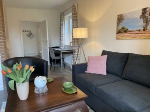 Wohnzimmer mit Schlafsofa