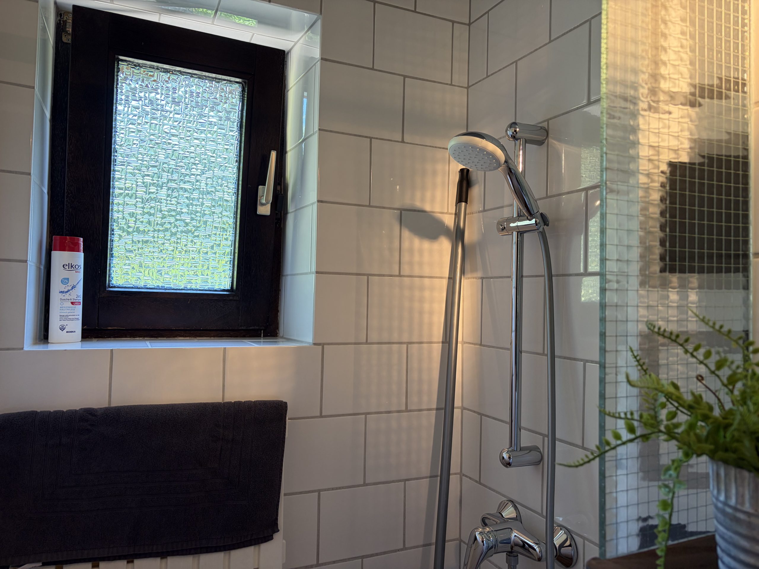Dusche EG
